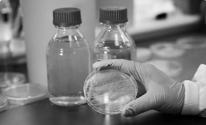 Innovative antimicrobial partnership