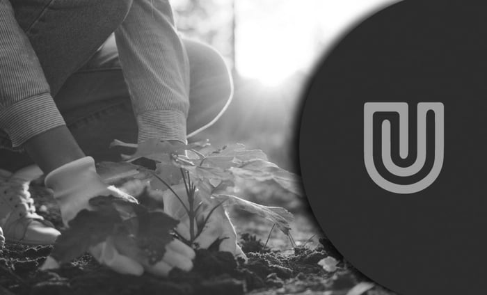 Best Gardening Gloves UK - Protect Your Hands In The Garden